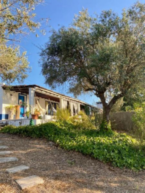 Monte Courela: piscina, natureza e paz no Alentejo